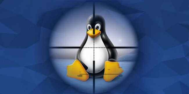 Linux 入门教程