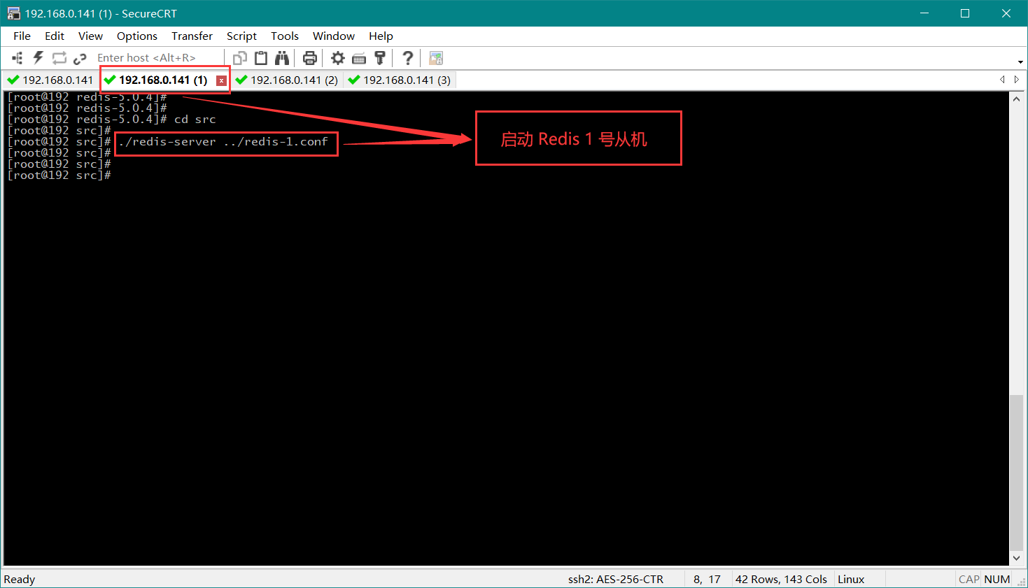 开启 Redis 1 号从机