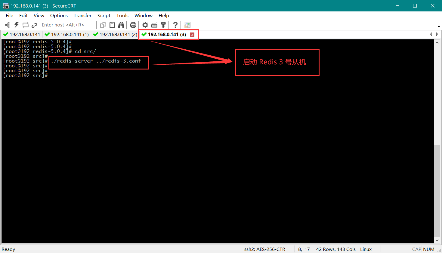 开启 Redis 3 号从机