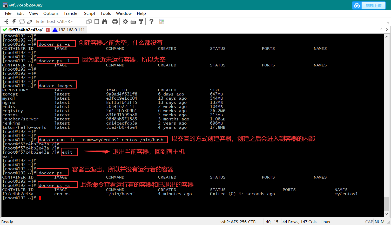 交互式方式创建容器